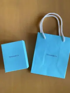 Tiffanyショップ袋