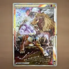 エンテイ＆ライコウＬＥＧＥＮＤ ☆ L2 よみがえる伝説 【折れ汚れあり】 エンテイ＆ライコウLEGEND ☆ L2 よみがえる伝説 2枚セット