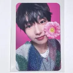 NCT WISH Songbird サクヤ トレカ