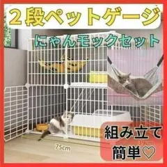 Item thumbnail for item ea5f689e-250b-4eb5-9161-d2eff78a1240