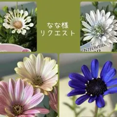 なな様　リクエスト　おまとめ4点