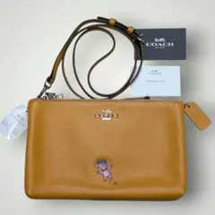 16日まで値引き】COACHレキシーバッグ・シグネチャー キャンバス 2way