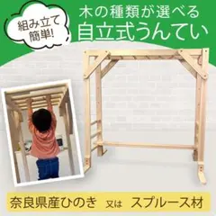 タイプC 高さ固定 ブレキエーション 雲梯 うんてい 室内遊具 知育玩具