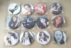 安室奈美恵Final Tour 2018 Finally缶バッチ新品12個セット - メルカリ