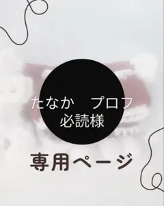 たなか　プロフ必読様専用ページ