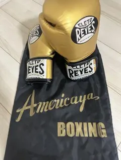 2026年最新】k-1 グローブの人気アイテム - メルカリ