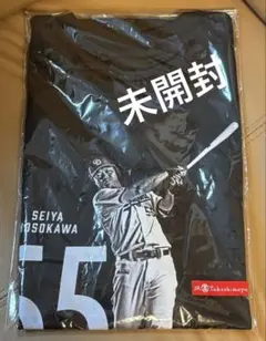 中日ドラゴンズ 石伊雄太 9 プレイヤーズTシャツ 高島屋 BIGカプセル