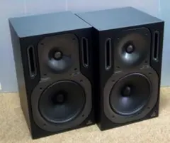 Behringer B2031A スタジオモニタースピーカー Amazon.com: Behringer TRUTH B2031A High-Resolution, Active 2-Way