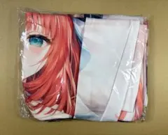 2025年最新】ニィロウ 抱き枕カバーの人気アイテム - メルカリ