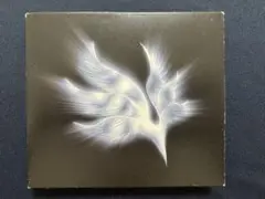 bump of chicken 初回限定
