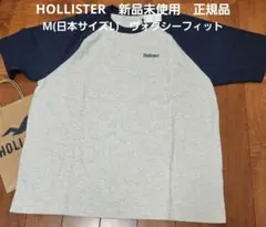 Hollister グレー/ネイビー新品未使用正規品