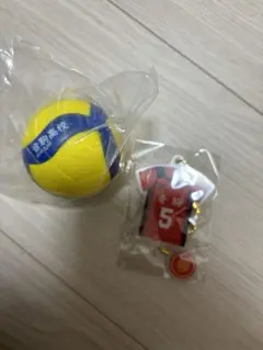 ハイキュー　ユニフォーム型アクリルキーホルダー MIKASA コラボ　孤爪研磨