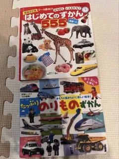 【定価1828円】2冊セット　はじめてのずかん555　たっぷりのりものずかん