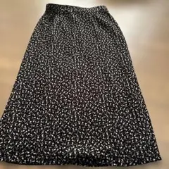 Item thumbnail for item 5d752f45-68cb-4057-960f-1ea236d7f343