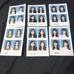 seju6枚セット
