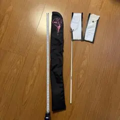 Item thumbnail for item a0e5d871-4fdb-4d8e-926e-38914eb51ffa