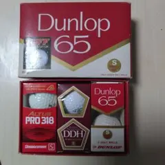 Item thumbnail for item 57c6d40f-b34f-435c-a4cf-6393e8b20d4d