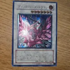 断*♪様 遊戯王 スターダスト・ドラゴン ブラック・ローズ・ドラゴン