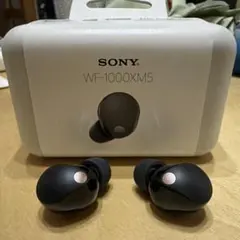 2025年最新】SONY wf-1000xm5 右耳の人気アイテム - メルカリ