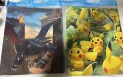 コレクションファイル 色違いのリザードン 新品 未開封 ポケモンカード