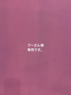 プーさん様 リクエスト 3点 まとめ商品