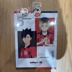 ハイキュー!! くら寿司コラボ 日向 黒尾 缶バッチ 音駒ファイル