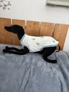 Item thumbnail for item 22417405-7cc4-473d-b16d-bcdccc8b5e31