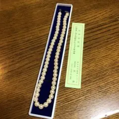 Item thumbnail for item 21885c99-d559-4985-b29f-dc6648e4b7e3