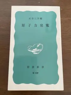 岩波新書