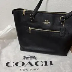 Item thumbnail for item 79ceb735-c24f-4d80-8432-6be223d0a675