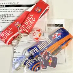 【2個セット】サントリー×レッドブル ユニフォームチャーム付きネックストラップのサムネイル