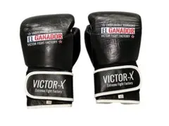 EL GANADOR VELCRO TYPE BOXING GLOVE BLUE - メルカリ