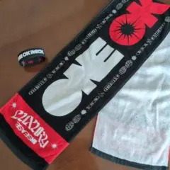 ONE OK ROCK 2023 ツアー パーカーLサイズ タオルセット 値引可 ONE OK ROCK 2023 ツアー パーカーLサイズ タオルセット 値引可