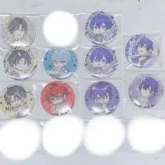 めておら 缶バッジ まとめ売り 武道館 らぴす 心音 周年 すとふぇす STPR