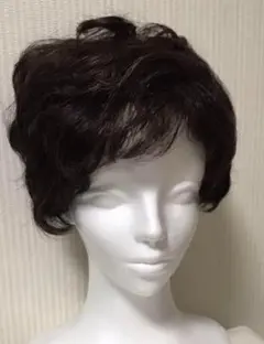 呪いのかつら ヘア・ウィッグ いけうち誠一 - メルカリ