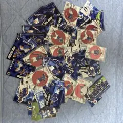 カルビー日本代表ポテチ選手 コレクションカードセット