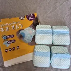 Item thumbnail for item a3096bd6-9da0-47cf-8321-39515331698c