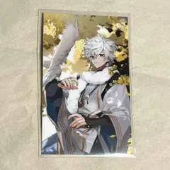 てん様 リクエスト 2点 まとめ商品