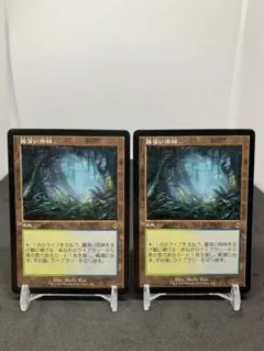 [JP] [旧枠] [2枚] 霧深い雨林 / Misty Rainforest