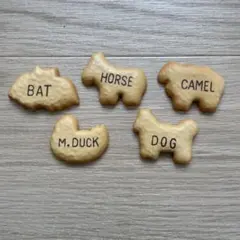 どうぶつビスケットマグネット5個セット