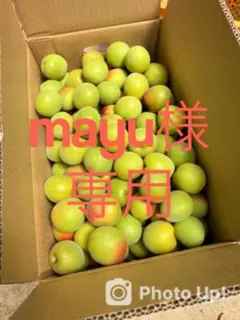 mayu様専用 南高梅　5kgのサムネイル