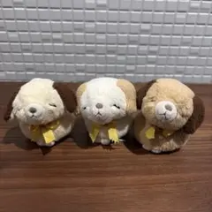 2025年最新】ナオズスタッフの人気アイテム - メルカリ