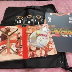 ハイキュー!! DVD 15 セット　※漫画はつきません