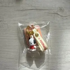 ポチャッコ 立体キーホルダー風ミニチャーム