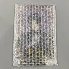 Item thumbnail for item 45302be7-e756-4e33-a594-7e1e9ed34e48