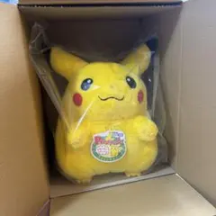 【新品】ポケットモンスター ポケモン30周年記念　おかえり！ピカチュウ