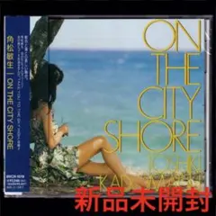 角松敏生 – On The City Shore アナログレコード LP - メルカリ