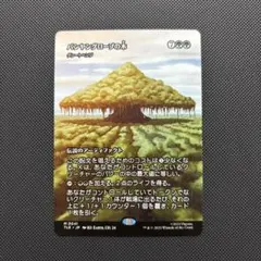 MTG バンヤングローブの木 日本語版 MTG バンヤングローブの木 グレートヘンジ 日本語版 - メルカリ