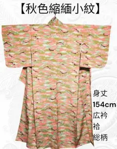 55【秋色縮緬小紋】秋季節　身丈154cm　広衿　袷　総柄