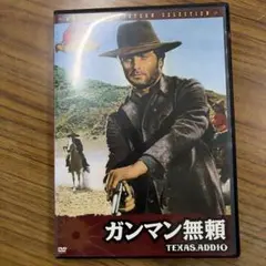 ガンマン無頼 TEXAS ADDIO DVD